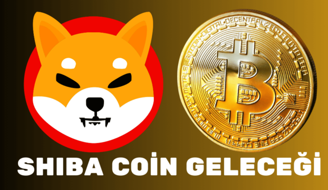 Shiba Coin Geleceği Shiba Yorumu 2024