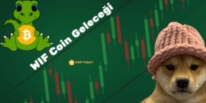 WIF Coin geleceği