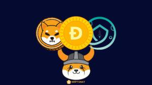 Meme Coin Hangileridir